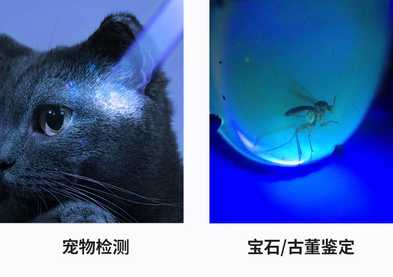 1736934592455048.jpg Y3詳情-CN_19.jpg