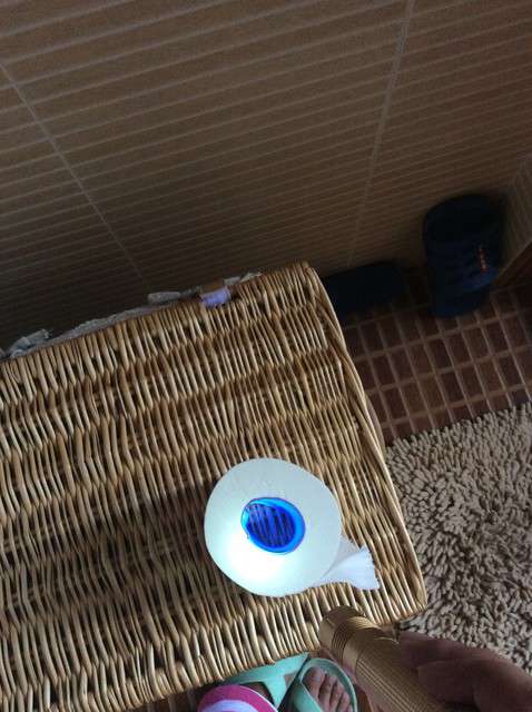  寶媽買了紫光手電，衣服上好多熒光劑，看的心慌害怕